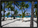 Ocean, Plaża, Palmy, Bungalow, Tropiki