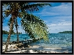 Ocean, Plaża, Pomost, Palma, Tropik