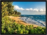 Ocean, Plaża, Zieleń, Hawaje