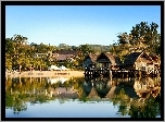 Oceania, Vanuatu, Hotelowe, Bungalowy, Roślinność