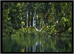 Park Narodowy Jeziora Plitwickie, Chorwacja, Wodospad, Jezioro, Las, Odbicie