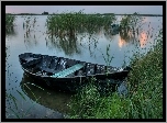 Jezioro, Łódka, Trawy