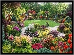 Ogród, Krzewy, Kolorowe, Kwiaty, Ławka