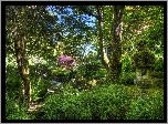 Ogród, Drzewa