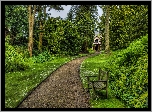 Anglia, Biddulph, Biddulph Grange Garden, Park, Ławka, Alejka, HDR,   Ogród