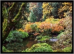 Japoński, Ogród, Staw, Mostek, Park, Portland, Oregon