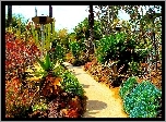 Ogród, Botaniczny, San Marino, Kalifornia, USA