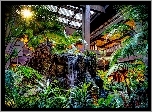 Ogród, Botaniczny, Kaskada, Palmy