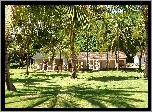 Ogród, Dom, Palmy, Kauai, Hawaje