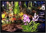 Kwiaty, Ogród, Schody