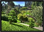 Ogród, Japoński, Mostek, Drzewa