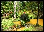 Ogród Botaniczny, Terra Nostra, Portugalia