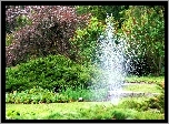 Ogród, Botaniczny, Poznań, Fontanna