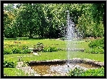 Ogród, Botaniczny, Poznań, Fontanna