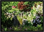 Ogród, Oczko Wodne, Roślinność, Korea