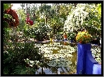 Ogród, Majorelle, Sadzawka, Marrakesz