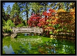 Ogród Nishinomiya Tsutakawa Japanese Garden, Ogród japoński, Staw, Mostek, Miasto Spokane, Stan Waszyngton, Stany Zjednoczone
