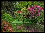 Ogród, Czerwony, Mostek, Staw, Krzewy, Różaneczniki, Kubota Garden, Seattle, Stan Waszyngton, Stany Zjednoczone