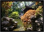 Ogród, Kamienie, Woda, Drzewa, Szanghai, Chiny
