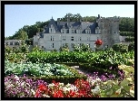 Ogród, Zamek, Villandry, Francja