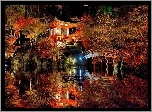 Ogród, Japonia, Światła, Noc