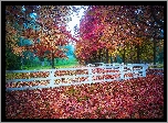 Park, Jesień, Drzewa, Ogrodzenie, Droga, Opadłe, Liście