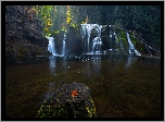 Omszałe, Kamień, Las, Liść, Wodospad Lower Lewis River Falls, Osada Cougar, Stan Waszyngton, Stany Zjednoczone