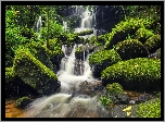 Wodospad, Omszałe, Kamienie, Dżungla, Prowincja Phetchabun, Tajlandia