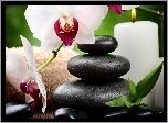 Orchidea, Świeca, Kamienie, SPA, Kompozycja  Świeca