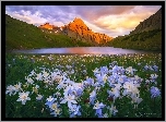 Stany Zjednoczone, Kolorado, Góry San Juan, Jezioro, Łąka, Orliki