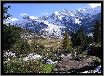 Ośnieżone, Góry, Dolina, Drzewa, Austria