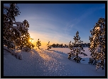 Zima, Ośnieżone, Drzewa, Zachód słońca, Kotka, Finlandia