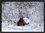 Zima, Las, Drzewa, Ośnieżony, Domek, Śnieg