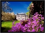 Pałac, Park, Kwitnące, Drzewa, Rododendrony