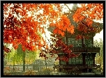 Pałacyk, Gałęzie, Jesień, Seul, Korea