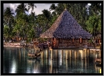 Morze, Palmy, Domek