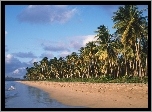 Palmy, Plaża
