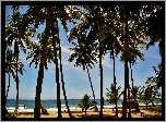 Plaża, Palmy, Morze
