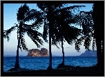 Tajlandia, Palmy, Morze