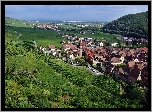 Panorama, Kayserberg, Wzgórza, Pola, Łąki, Las