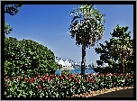 Park, Panorama, Sydney