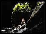 Skały, Grota, Paprocie, Roślinność, Jaskinia, Cathedral Cave, Little Langdale, Kumbria, Anglia