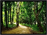 Park