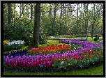 Park