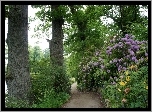 Park