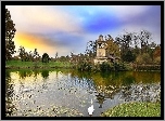 Park, Staw, Łabędzie, Ptaki