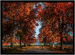 Park, Drzewa, Ławki, Aleja, Jesień