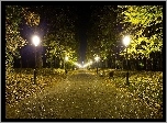 Park, Drzewa, Alejka, Oświetlenie