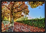 Jesień, Park, Alejka, Ławka, Liście
