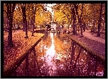 Park, Zbiornik, Wodny, Alejki, Jesień